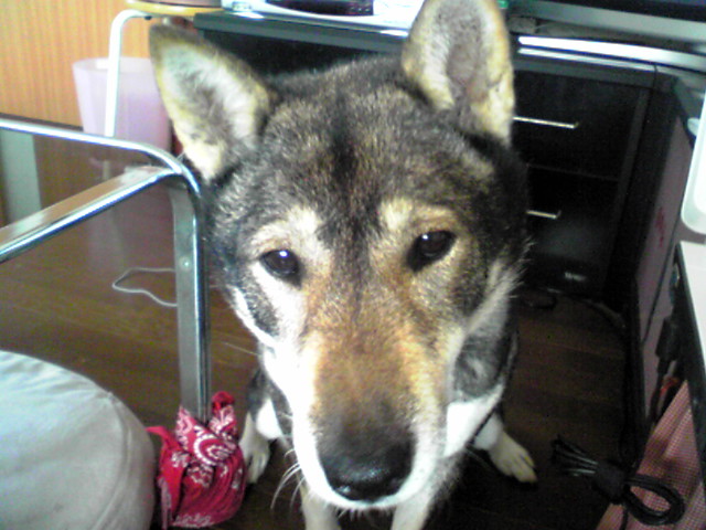 f0079202_15155132.jpg