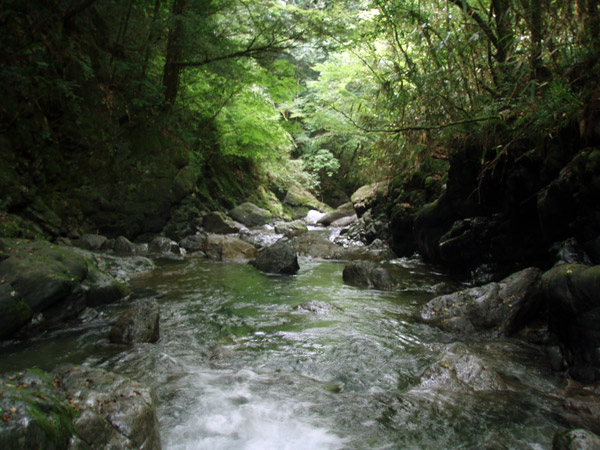 a0097006_23164476.jpg
