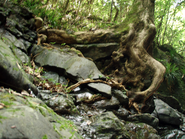 a0097006_2325852.jpg