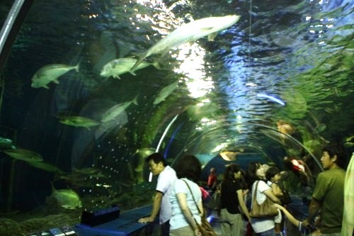 e0121110_2133421.jpg