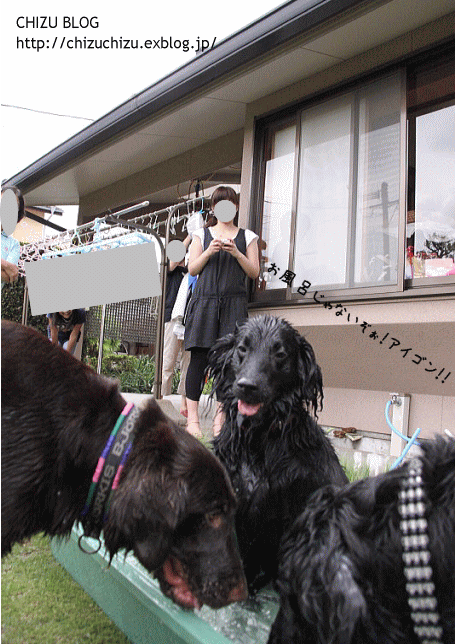 c0017311_17515968.gif
