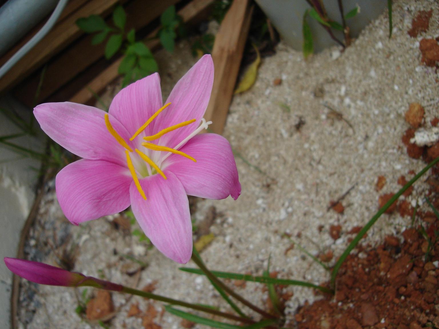e0009714_101782.jpg