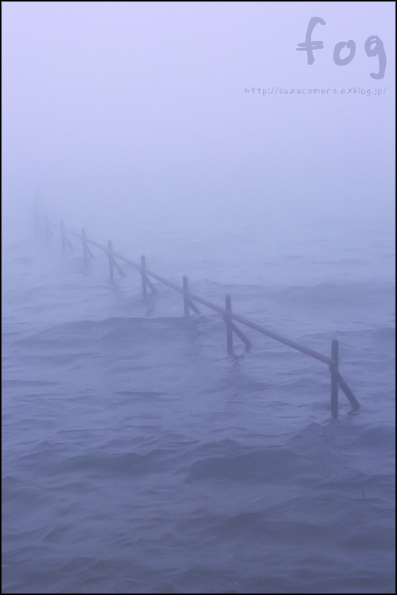 霧の芦ノ湖_f0100215_2313025.jpg