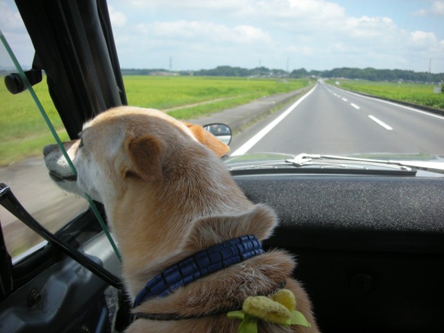 e0111217_22121598.jpg