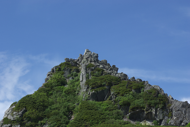 c0057221_8495299.jpg