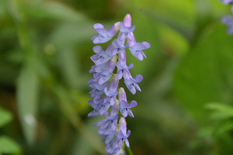 e0136424_1003722.jpg