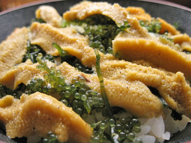 パーラーまるみ うに丼_a0016730_1857861.jpg