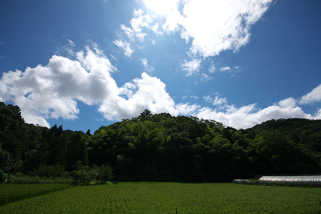c0067040_21483342.jpg