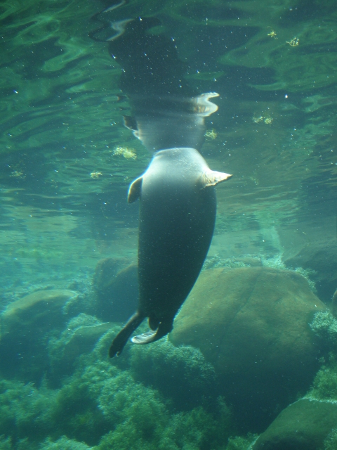 d0141349_22501758.jpg