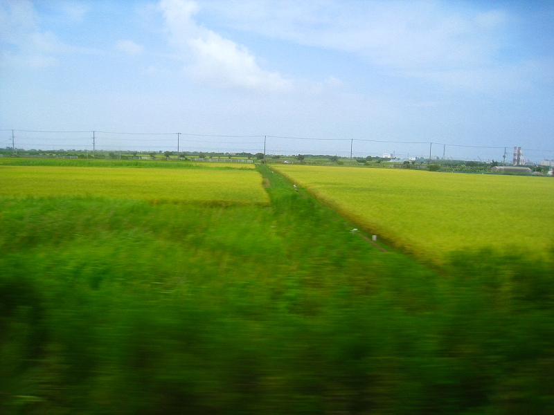 d0152261_14493950.jpg