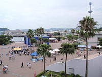 e0091161_2246246.jpg