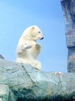 e0091161_22473735.jpg