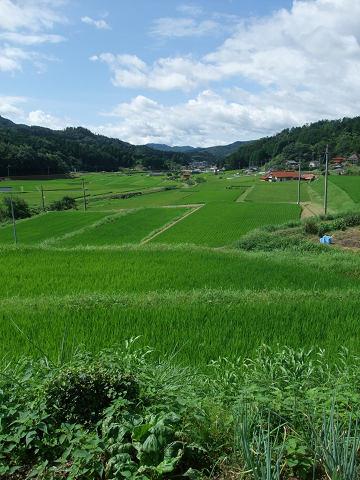 e0045768_22345979.jpg