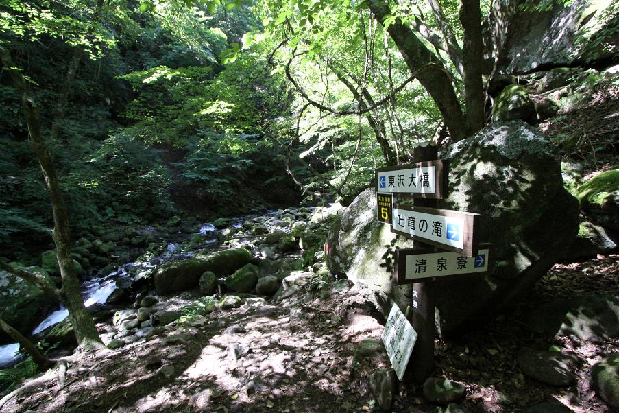 清泉寮から東沢大橋へ　　　　　　　八ヶ岳高原（川俣渓谷）_a0107574_833927.jpg