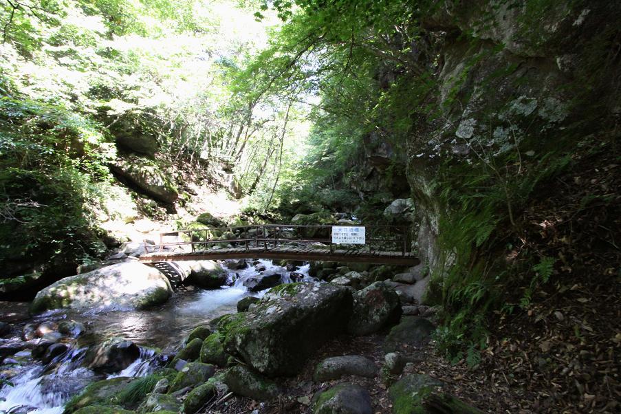 清泉寮から東沢大橋へ 八ヶ岳高原(川俣渓谷)_a0107574_854446.jpg
