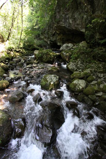 清泉寮から東沢大橋へ 八ヶ岳高原(川俣渓谷)_a0107574_86126.jpg