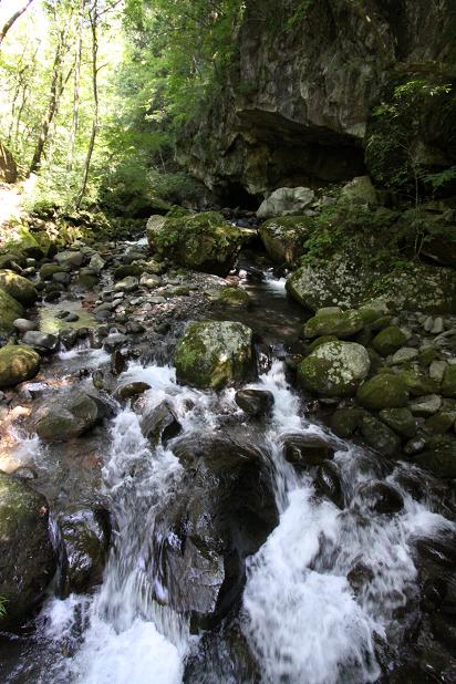 清泉寮から東沢大橋へ　　　　　　　八ヶ岳高原（川俣渓谷）_a0107574_86126.jpg