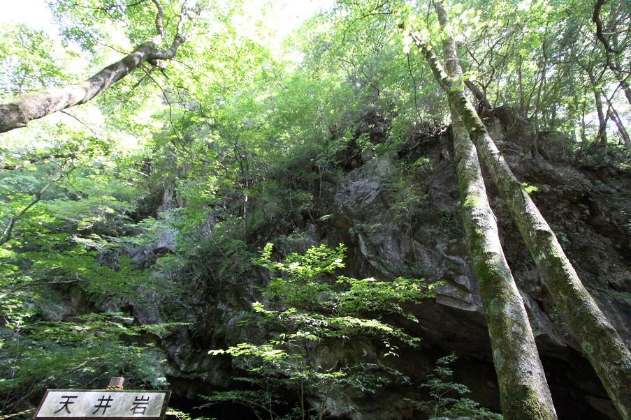 清泉寮から東沢大橋へ 八ヶ岳高原(川俣渓谷)_a0107574_862838.jpg