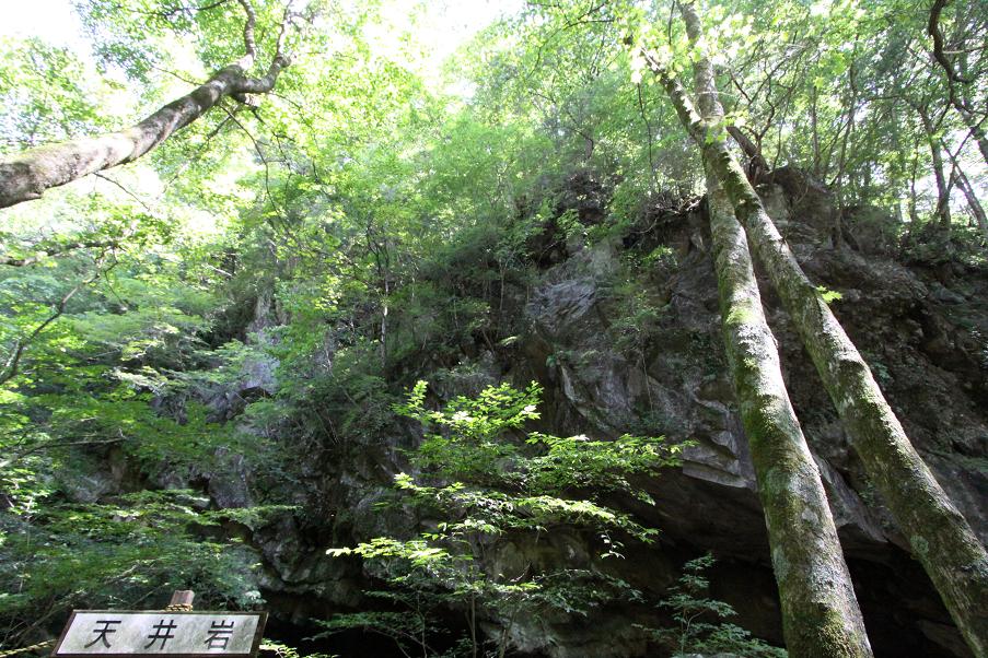 清泉寮から東沢大橋へ　　　　　　　八ヶ岳高原（川俣渓谷）_a0107574_862838.jpg