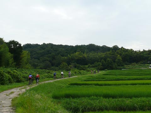 c0107075_13346.jpg