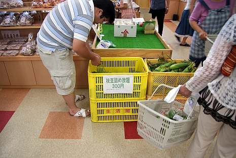 20090815 宮城道の駅巡り１　米山_a0025476_9432456.jpg