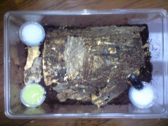 a0093677_2234026.jpg
