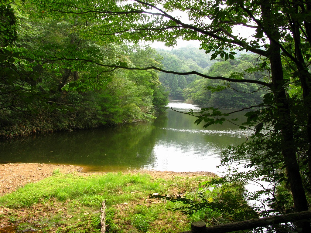 今日は徳川道_e0024081_17184112.jpg