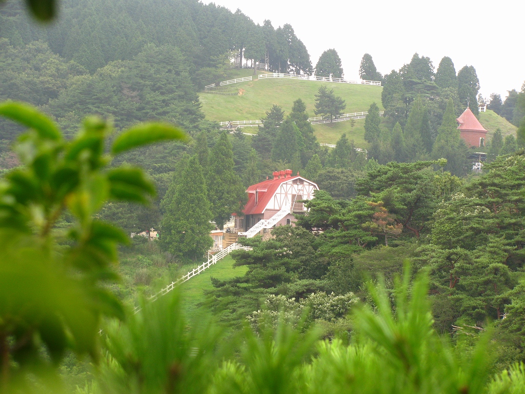 今日は徳川道_e0024081_17185530.jpg