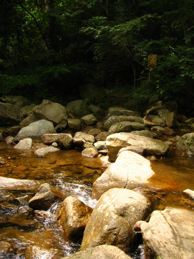e0024081_172125.jpg