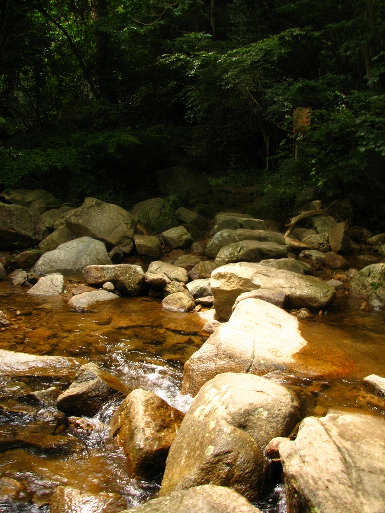 今日は徳川道_e0024081_172125.jpg