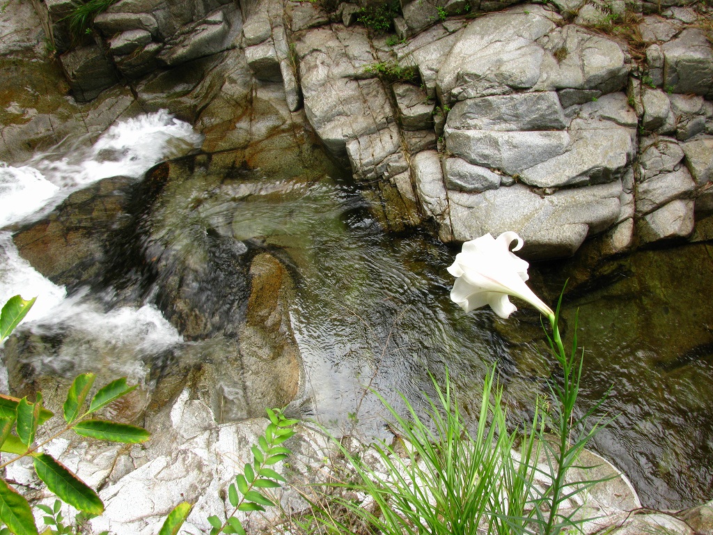 e0024081_17222029.jpg