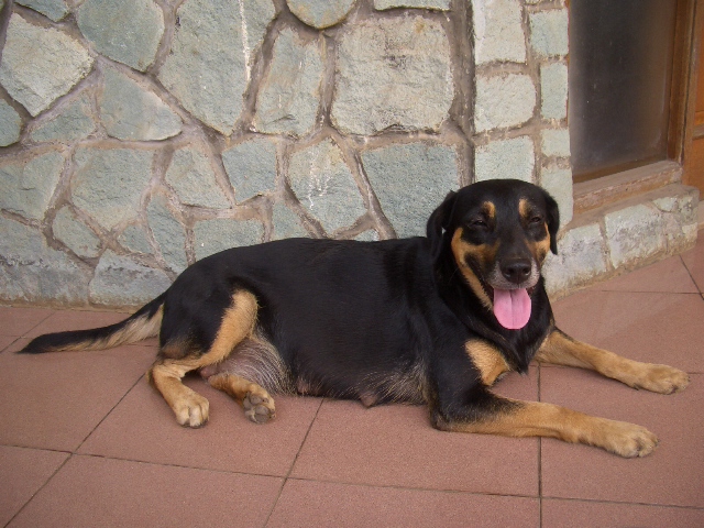 c0175883_0493655.jpg