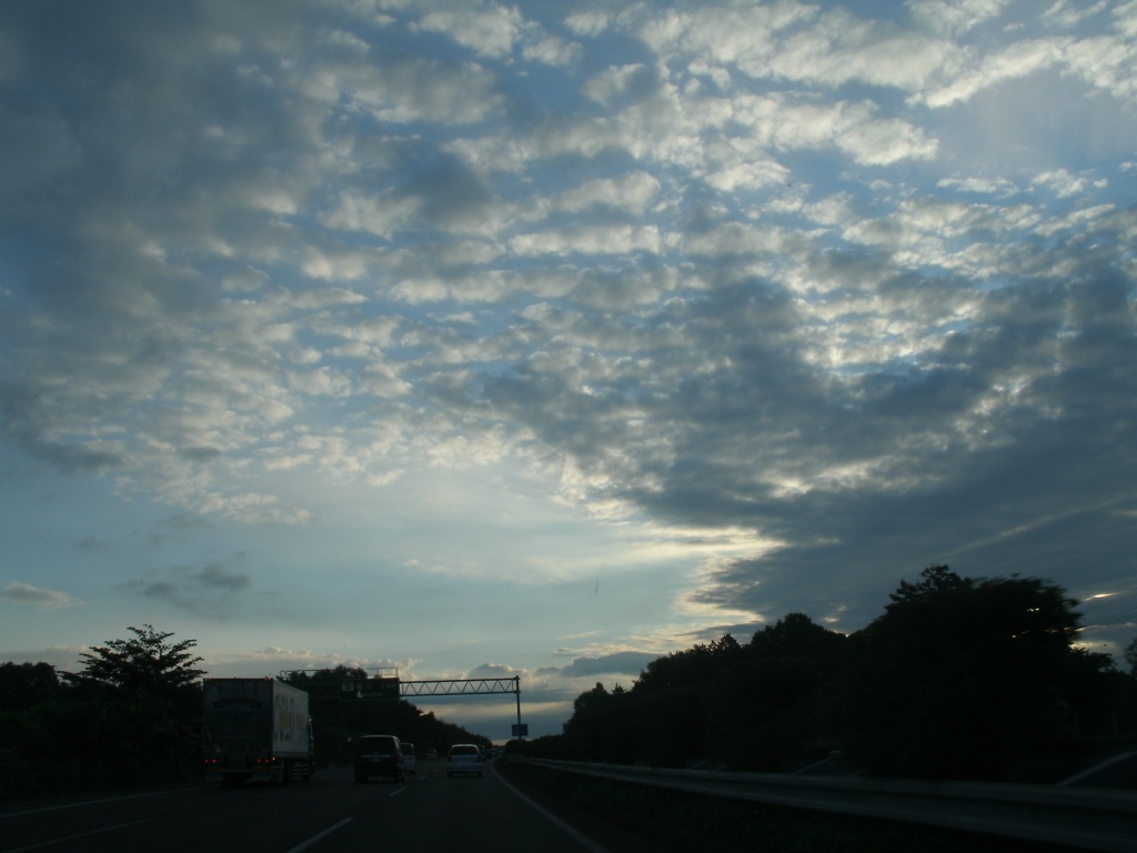 e0185784_2025696.jpg