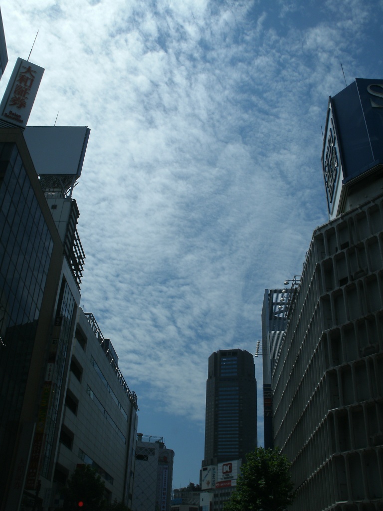 e0185784_205057.jpg
