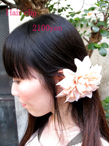 a0092285_17351340.jpg