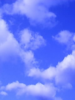 青空_e0051186_7592240.jpg