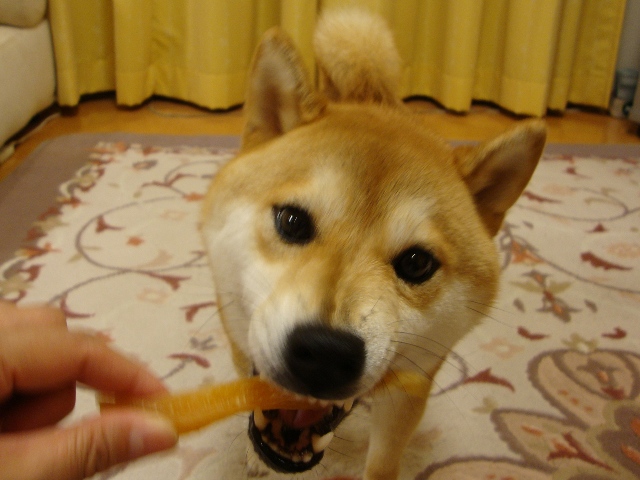 教訓_a0126590_4434147.jpg