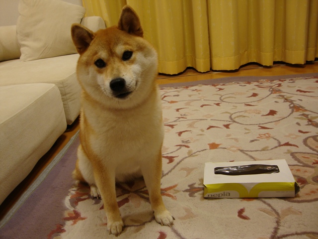 教訓_a0126590_4495446.jpg