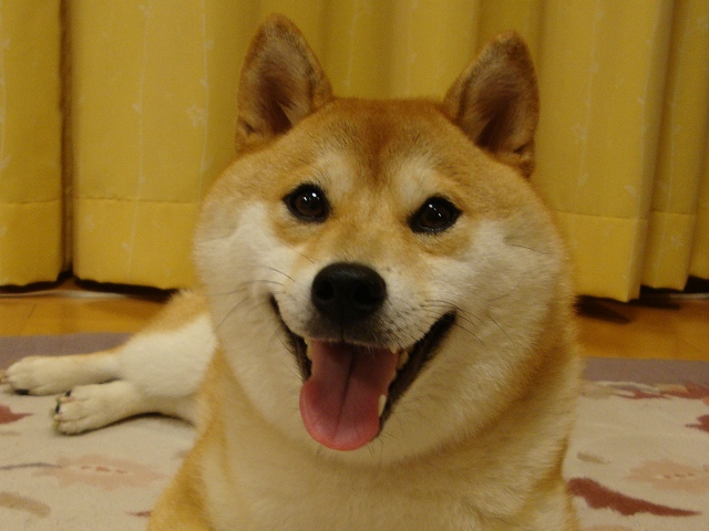 教訓_a0126590_5173862.jpg