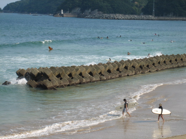 県南は夏真っ盛り_d0043390_22473069.jpg