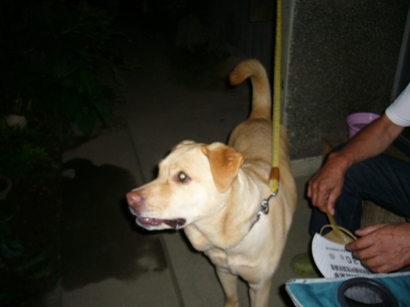 e0121790_20441660.jpg