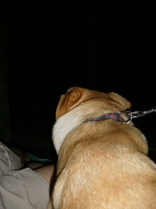 e0121790_20484292.jpg