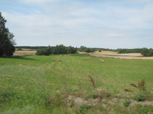 f0129897_19354727.jpg