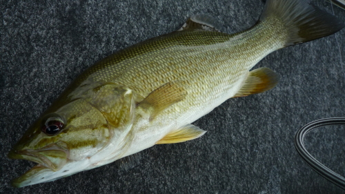 c0182098_20491489.jpg