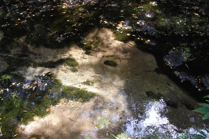 e0064400_94326.jpg