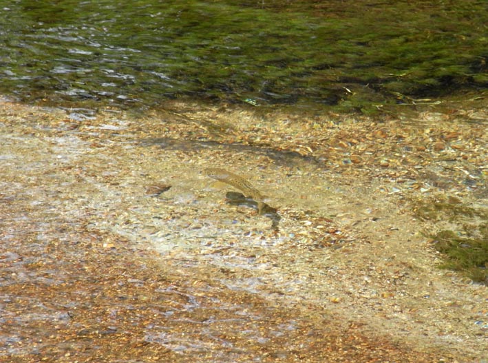 e0064400_945183.jpg