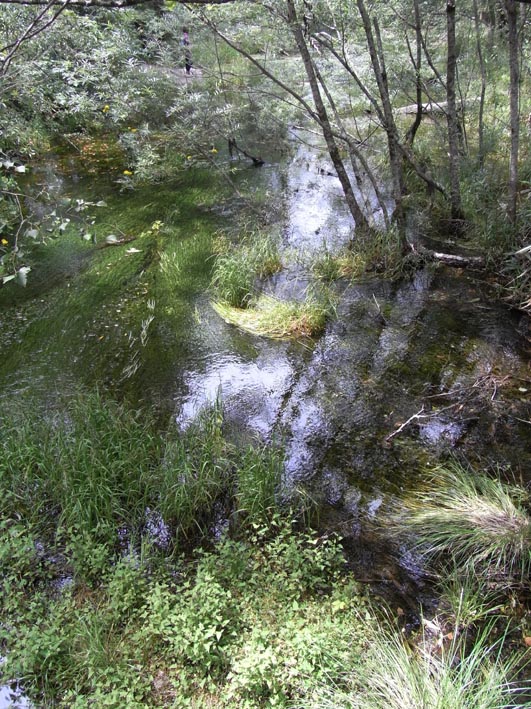 e0064400_9451973.jpg
