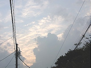 2009年8月22日（土） ； 晴れ～曇り_d0051601_018172.jpg