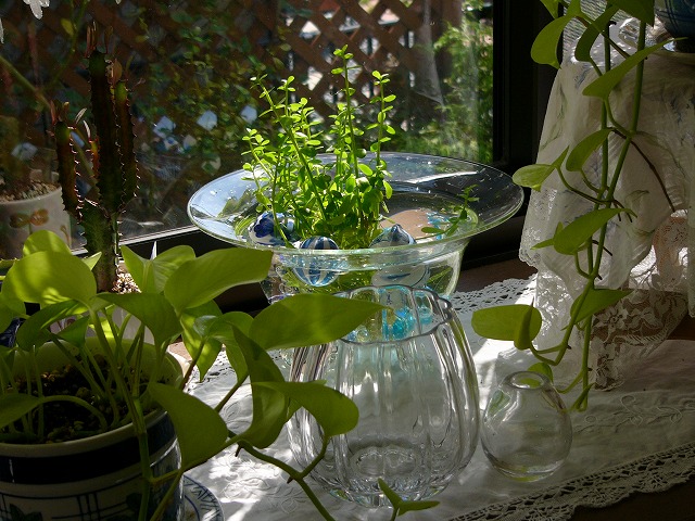 a0123003_18244417.jpg