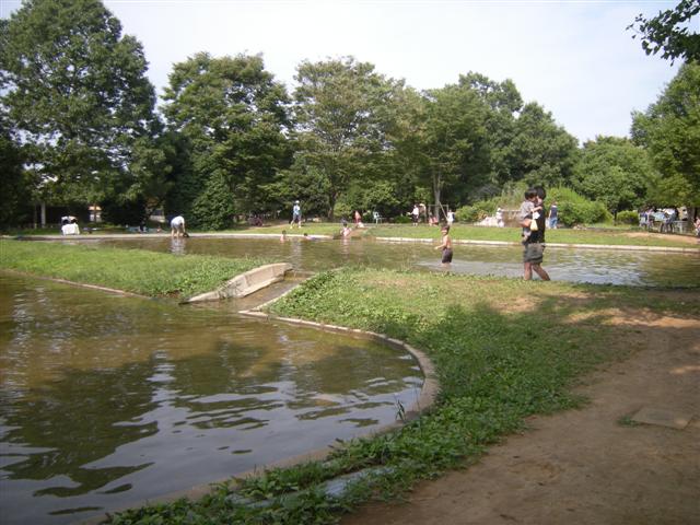 b0120103_13502327.jpg